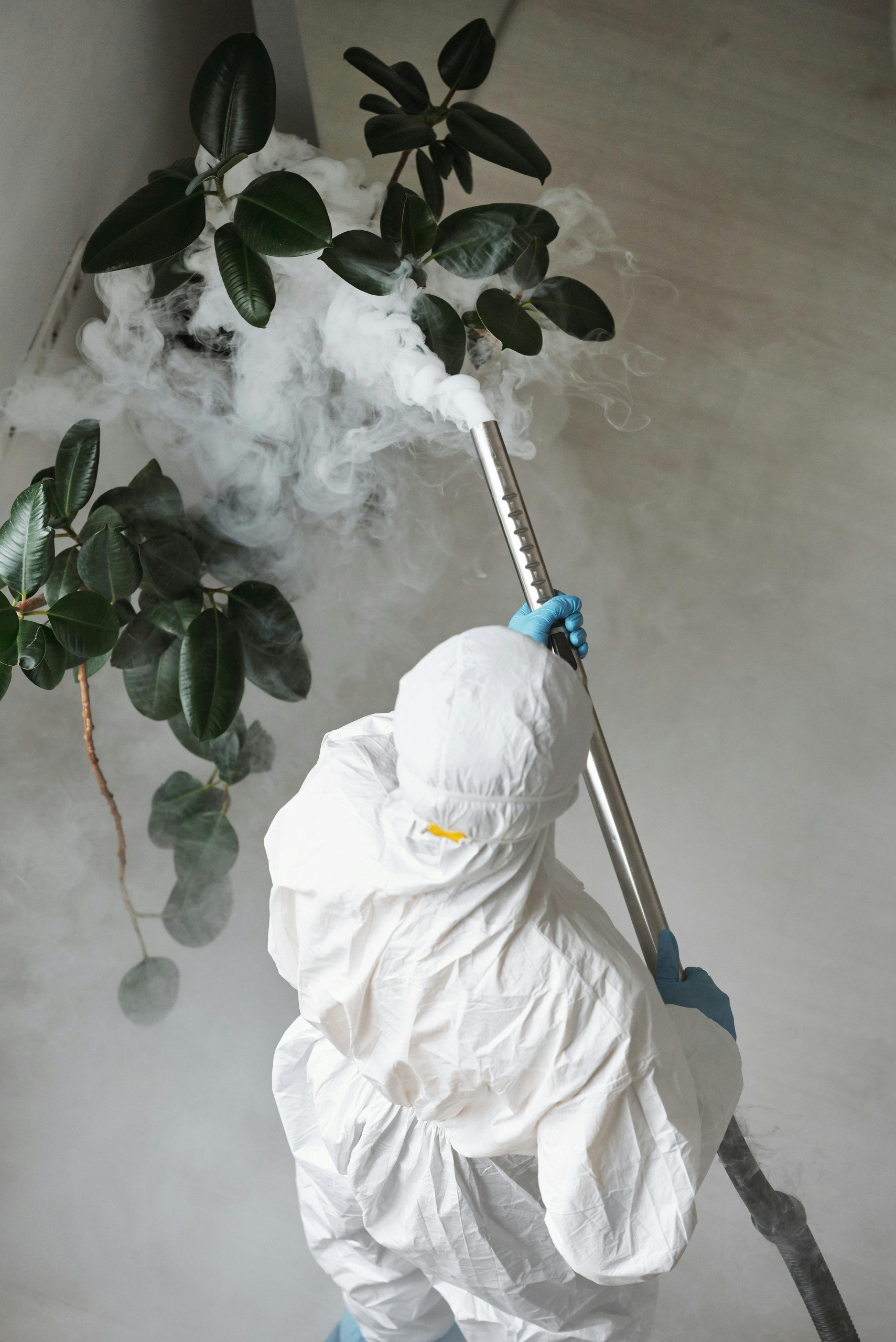 Affordable Pest Control Clifton, NJ | Fast Local Service