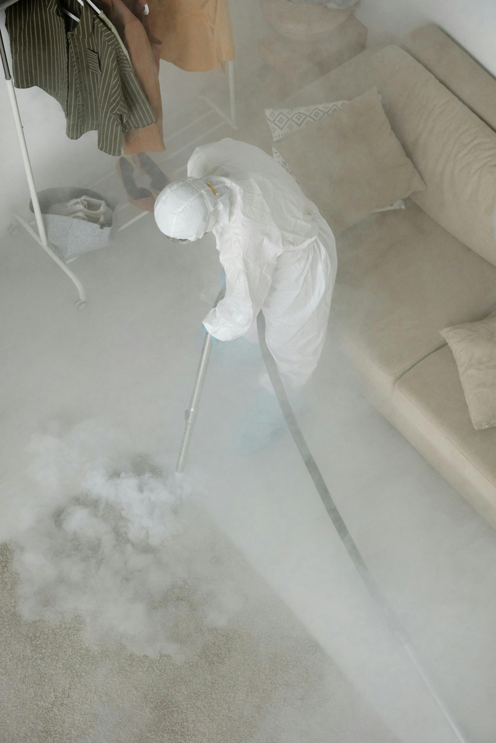 Professional Pest Control Services in Hoboken